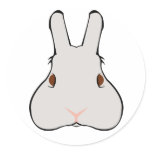 Merely a Rabbit Merely a Rabbit