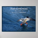 Merganser Duck Motivational Poster posters