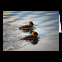 Merganser Love/Friendship/Sisters Card cards