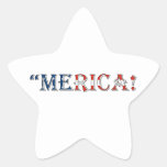 merica star sticker