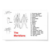 Meridian Poster posters