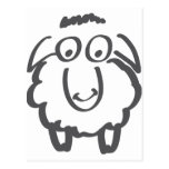 merino sheep post cards