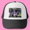 "Merlin" Blue Silkie Bantam Rooster hats