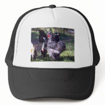 "Merlin" Blue Silkie Bantam Rooster hats by pidgiefund "Merlin" Blue Silkie Bantam Rooster hats