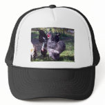 "Merlin" Blue Silkie Bantam Rooster Trucker Hat