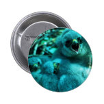 Merlin chicks buttons