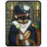 Merlin Magician Wizard Cat Magic Sorcerer T Shirt