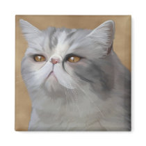 Merlin magnets