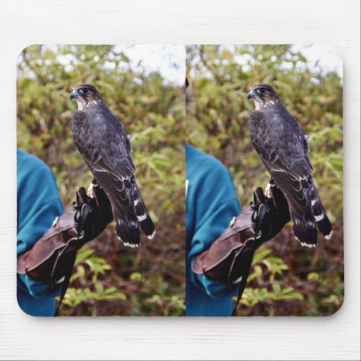 Merlin Mouse Pad