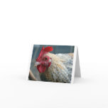 Merlin Note Card