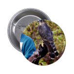 Merlin Pin