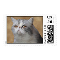 Merlin postage