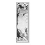 Mermaid, Cockatoo and Seagulls Business Card Template