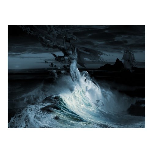Mermaid Syndrom print