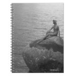 Mermaid, Vancouver Notebook
