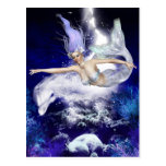 Mermaid with Dolphin Postcard