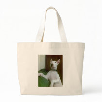 merra bag