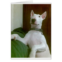 merra greeting cards