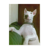 merra postcard