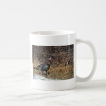 Merriams wild turkey, gobbler mug