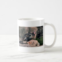 Merriams wild turkey, gobbler mug