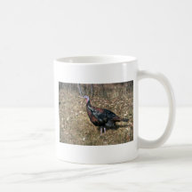 Merriams wild turkey, hen coffee mugs