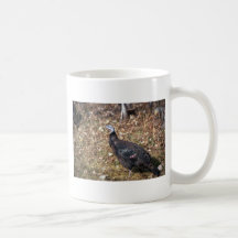 Merriams wild turkey, hen coffee mugs