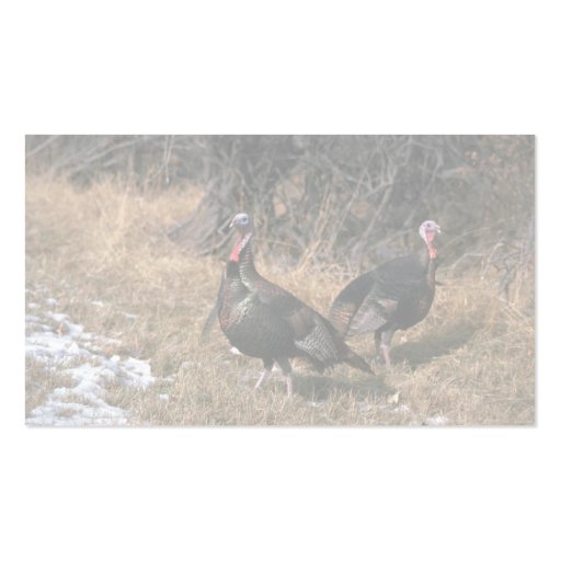 Merriams wild turkeys, gobblers business card templates (back side)