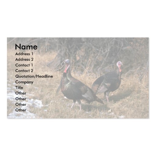 Merriams wild turkeys, gobblers business card templates (front side)