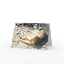 Merrkat Happy Birthday Greeting Cards
