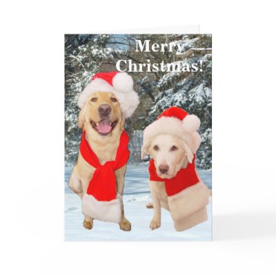 Merrry Christmas Card by myrtieshuman