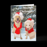 Merrry Christmas Card