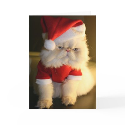 Merry CatMas Greeting Cards by funnychristmascards