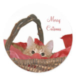 Merry Catsmas stickers