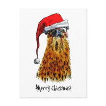 Merry Chickmas Postcard