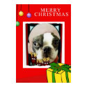 MERRY CHIRSTMAS BOSTON CARD LOOK posters by SUNZUP4U MERRY CHIRSTMAS BOSTON CARD LOOK posters