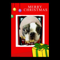 MERRY CHIRSTMAS BOSTON CARD LOOK posters