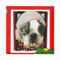 MERRY CHIRSTMAS BOSTON CARD MAGNET by SUNZUP4U MERRY CHIRSTMAS BOSTON CARD MAGNET