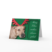 Merry Chrismahanukwanzakah cards by Nathan_Ryan Merry Chrismahanukwanzakah cards