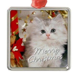 Merry Christmas 19 Ornament ornament