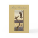 Merry Christmas Africa style. Safari Xmas Cards
