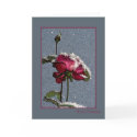 Merry Christmas - artsy red rose with snow cards