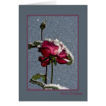 Merry Christmas - artsy red rose with snow Greeting Cards