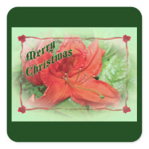Merry Christmas Azalea Square Sticker