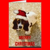 MERRY CHRISTMAS BASSET cards