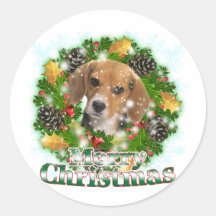 Merry Christmas Beagle Stickers