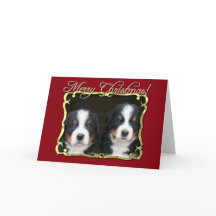 merry christmas dog merry christmas dog