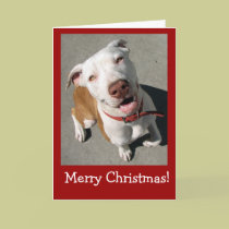 Merry Christmas Best Freind cards
