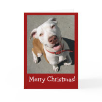 Merry Christmas Best Freind cards by sansuebar Merry Christmas Best Freind cards