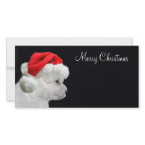 Merry Christmas Bichon Frise photo cards
